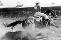 Barrel Racer
Prescott, AZ
© Sue Rosoff
All Rights Reserved