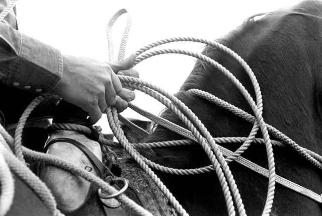 Ropers Hands
Red Bluff, CA
© Sue Rosoff
All Rights Reserved : Rodeo : Sue Rosoff Photography