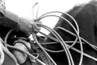 Ropers Hands
Red Bluff, CA
© Sue Rosoff
All Rights Reserved