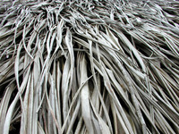 Thatch of pandanus, Ebeye, Kwajalein, RMI, © Sue Rosoff, all rights reserved