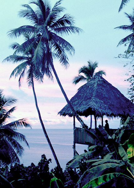 Gazebo at The Village's restaurant The Tattooed Irishman, Pohnpei, Federated States of Micronesia, © Sue Rosoff, All Rights Reserved