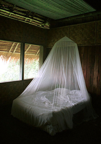 Bed, Pohnpei