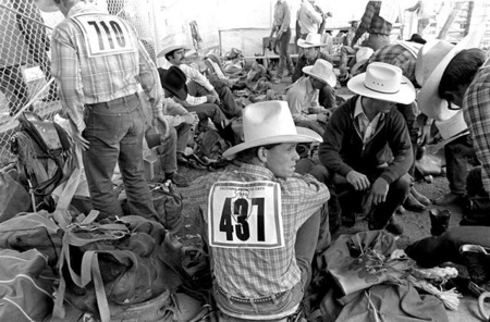 437
Cheyenne Frontier Days
© Sue Rosoff
All Rights Reserved