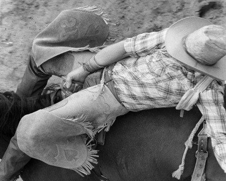 Sam Perkins
Bareback Rider
Cheyenne Frontier Days
© Sue Rosoff
All Rights Reserved